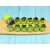 סט חיתוך צורות פירות וירקות – Fruit and Cookie Stamps Mold